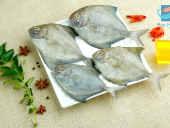 Black Pomfret | கருப்பு வவ்வால்