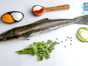 Cobia | கடல் விறால்