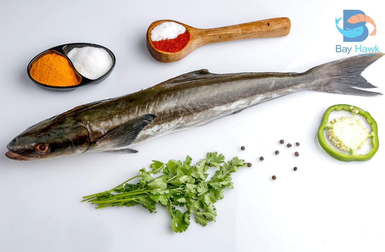 Cobia | கடல் விறால்