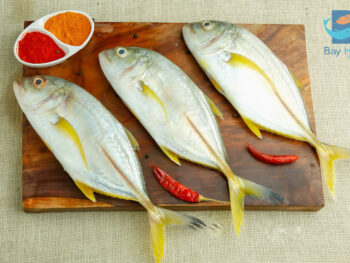 Trevally | பாறை