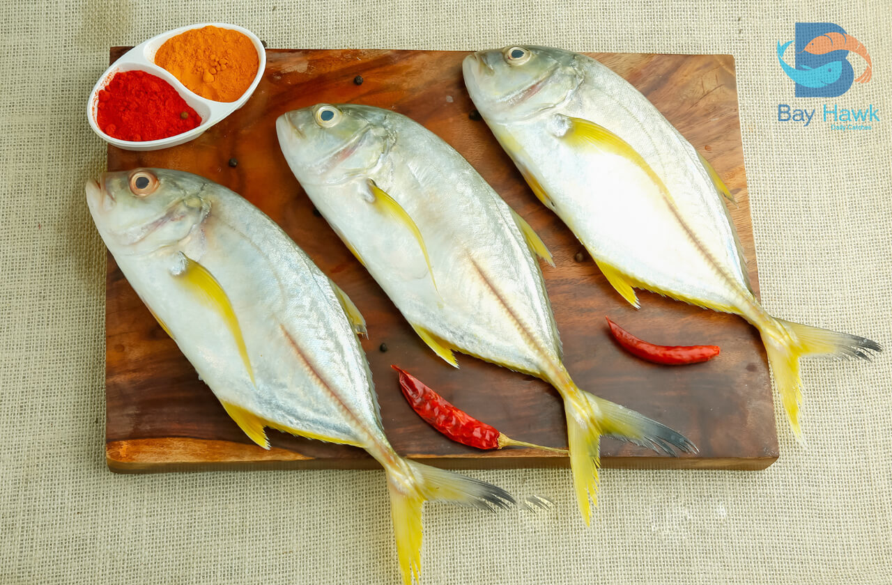 Trevally | பாறை