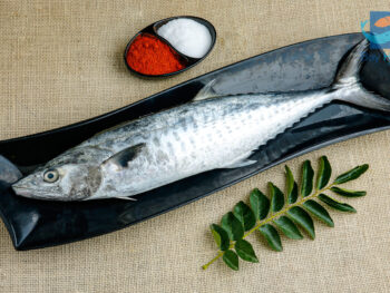 Seer Fish | வஞ்சரம்