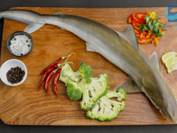 Shark | சுரா