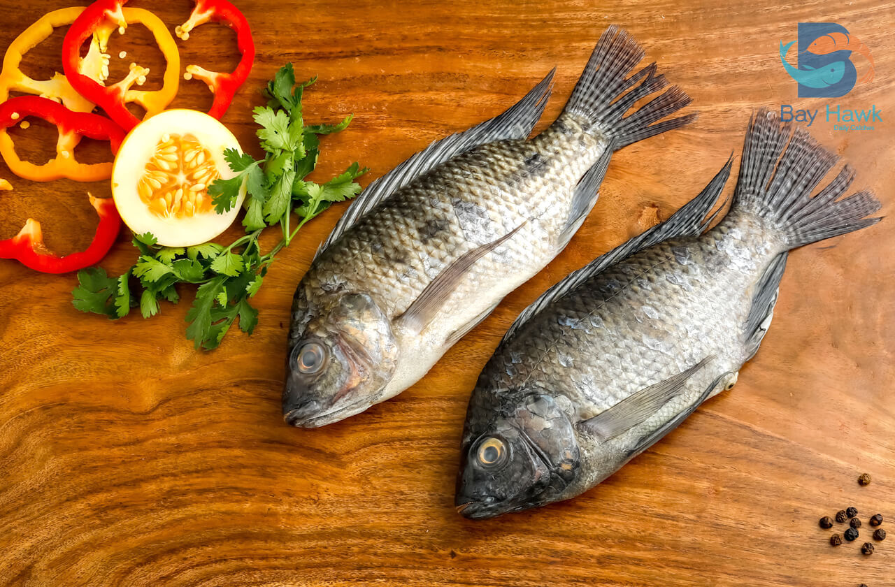 Seafood