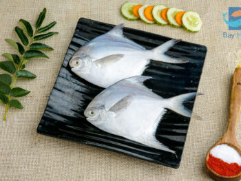 White Pomfret | வெள்ளை வவ்வால்