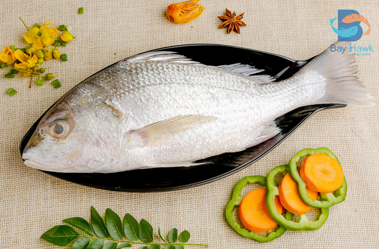 White shop snapper fish