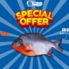 Seafood, offer